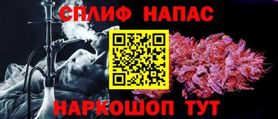 бошки Дубна