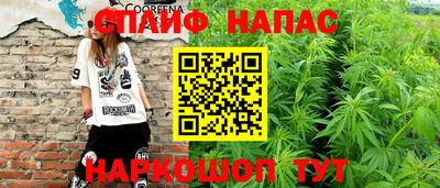 бошки Дубна