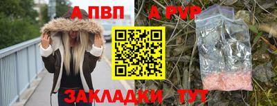 бошки Дубна