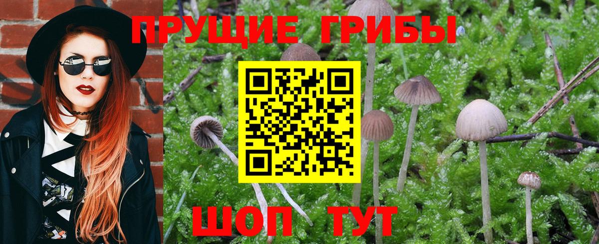 Псилоцибиновые грибы GOLDEN TEACHER Мирный
